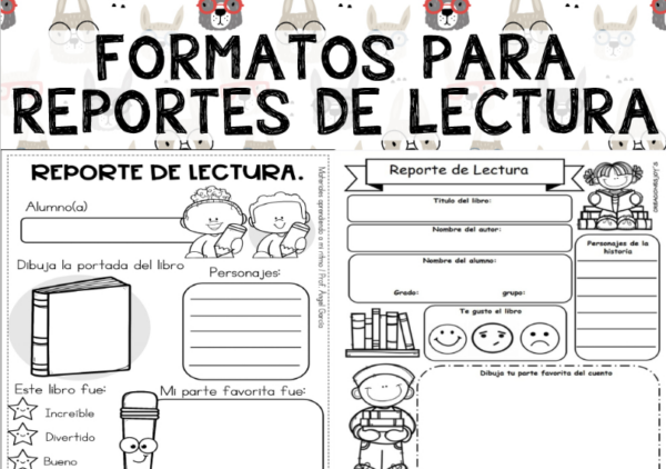 reportes de lectura